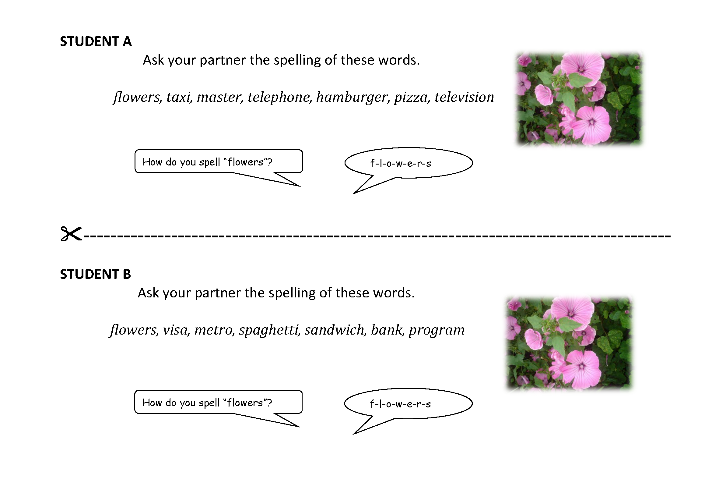 THE ENGLISH ALPHABET and NUMBERS_activity THE ENGLISH ALPHABET and NUMBERS_activity