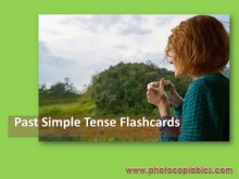 Past-Simple-WITH-CAPTIONS_flashcards